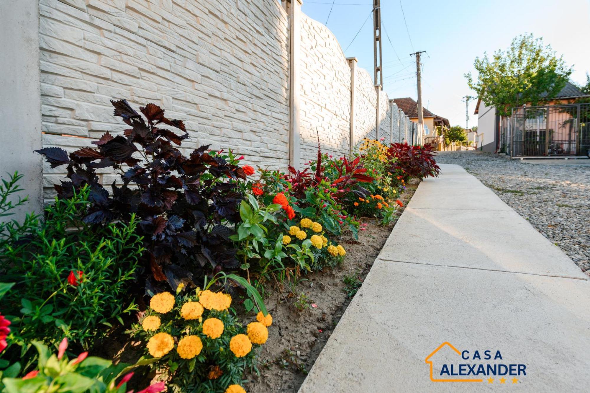 Casa Alexander 호텔 Călimăneşti 외부 사진